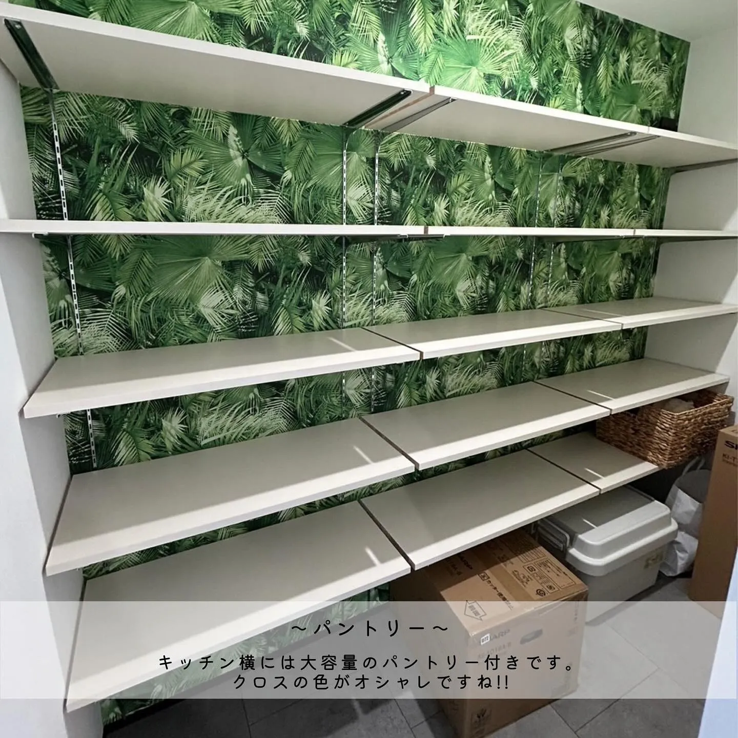 ▶︎▶︎▶︎クロスにこだわった平屋のお家をご紹介✨