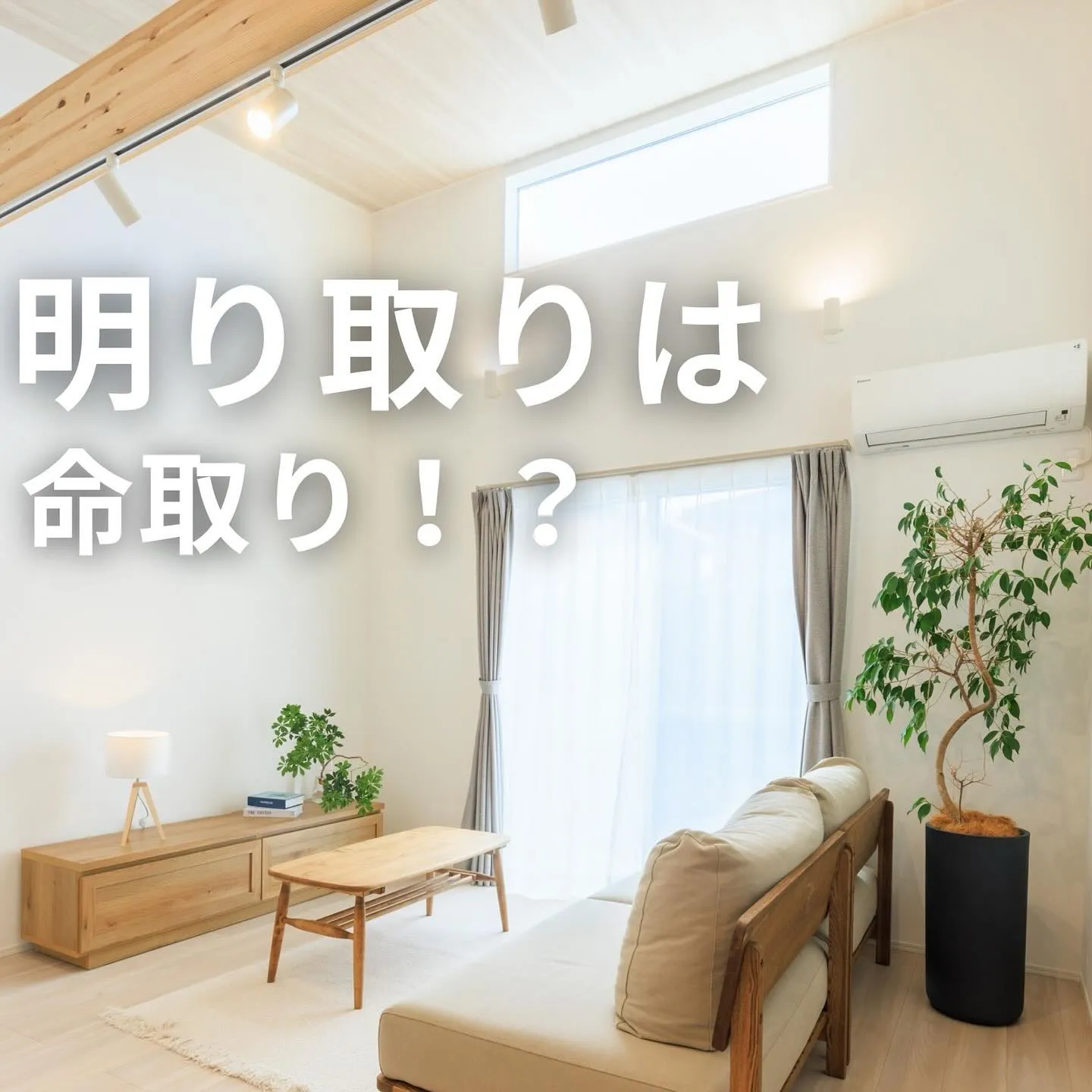 ▶︎▶︎▶︎明り取りは命取り！？