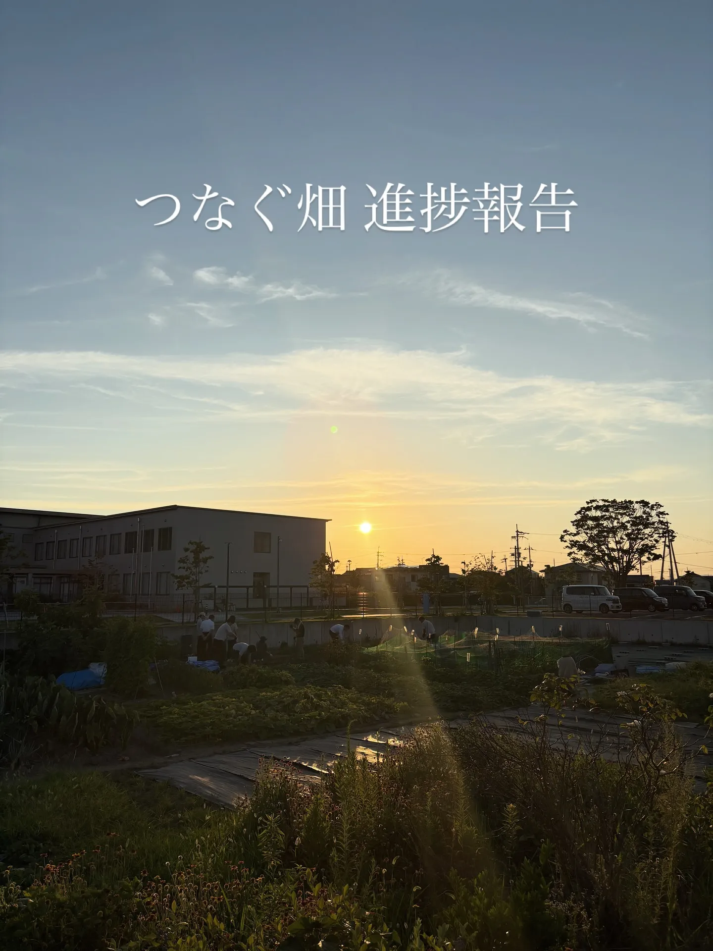 つなぐ畑が最近始動しました🍆🍅