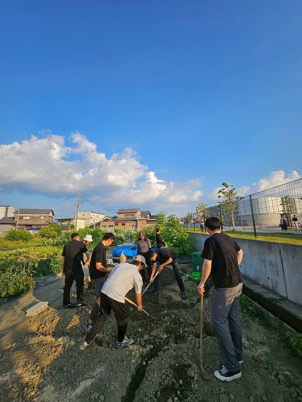つなぐ畑が最近始動しました🍆🍅