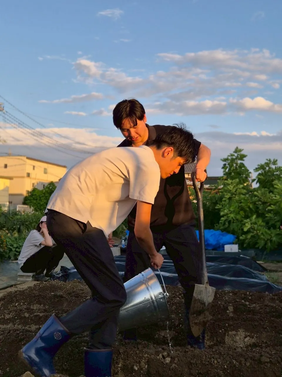つなぐ畑が最近始動しました🍆🍅
