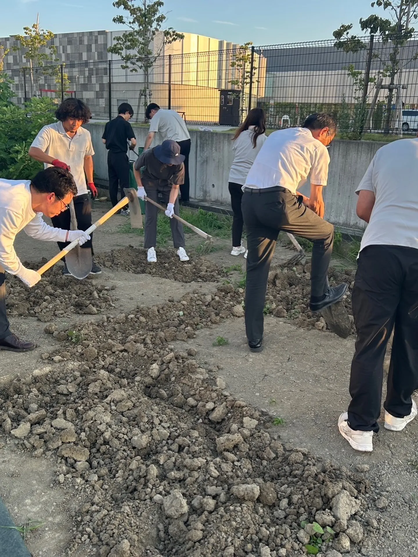 つなぐ畑が最近始動しました🍆🍅