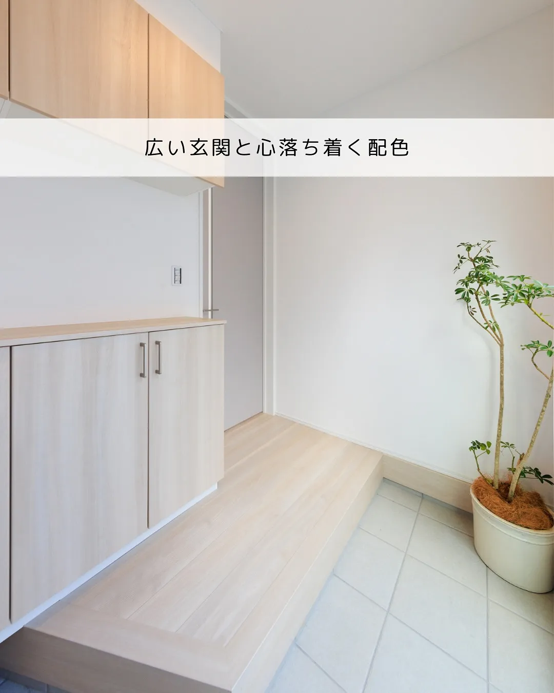 🎨🏡 配色にこだわった平屋