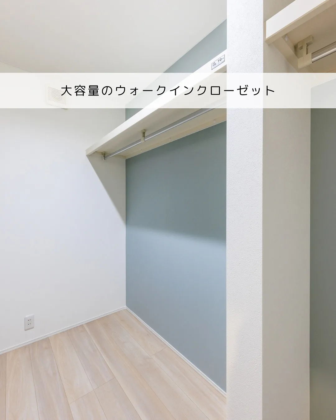 🎨🏡 配色にこだわった平屋