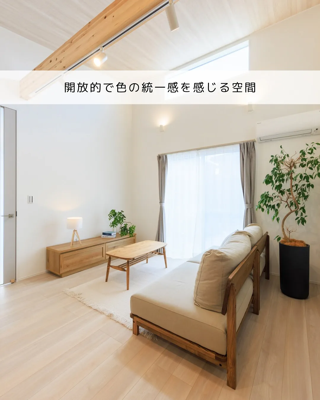 🎨🏡 配色にこだわった平屋